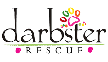 Darbster Doggy logo