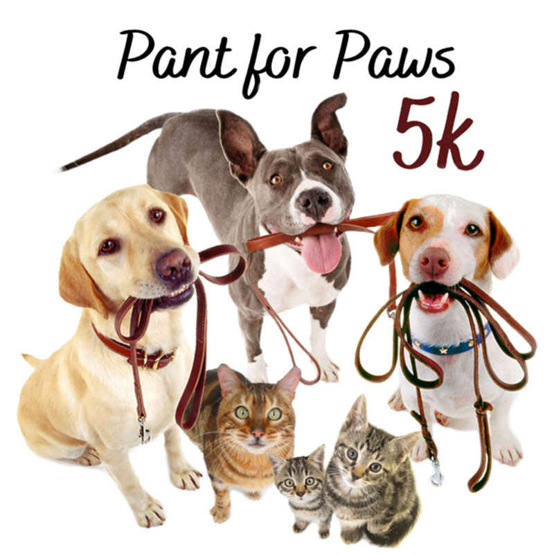 Darbster Rescue Darbster Doggy Darbster Kitty